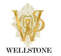 well stone auto logo