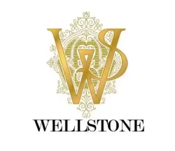 well-stone-auto-logo-webp